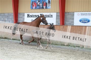181868_mtp_03_R62_6130.JPG