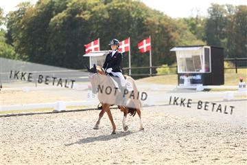 181894_mtp_02_R62_2272.JPG