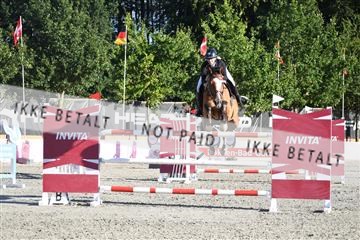 172734_akl_01_AKL_7616.JPG