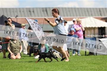 181564_rin_01_R62_8204.JPG