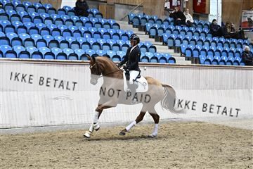 182241_kbb_01_Z093798.JPG