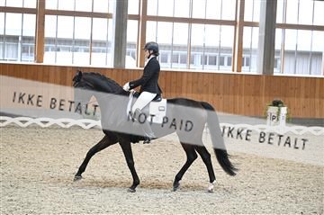 182176_kbb_01_Z092747.JPG