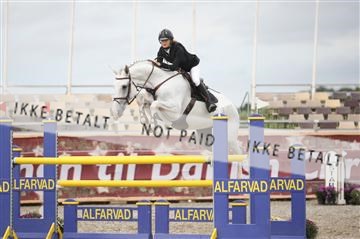 152762_nn _05_IMG_7703.JPG