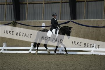 154367_ms_01__MS18602.JPG