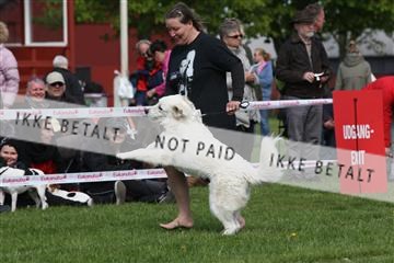 134871_ms_02_IMG_3588.JPG