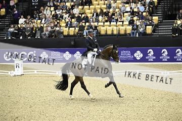182194_kbb_02_Z098950.JPG