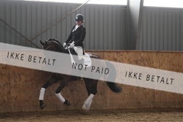 139206_kl_1_8M1Q5453.JPG