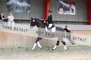 181867_mtp_01_R62_3936.JPG