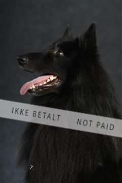 132082_le_ 01_IMG_0817.JPG