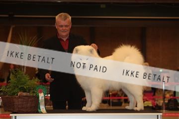 124188 _tl_02_IMG_9237.JPG