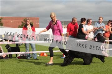 130370_tl_01_IMG_7493.JPG