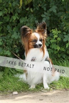130370_se_01_IMG_5312.JPG