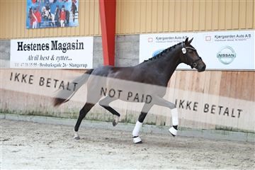 181868_mtp_01_R62_5086.JPG