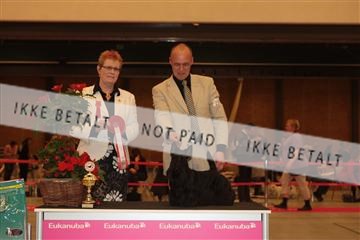 124188 _tl_02_IMG_9650.JPG