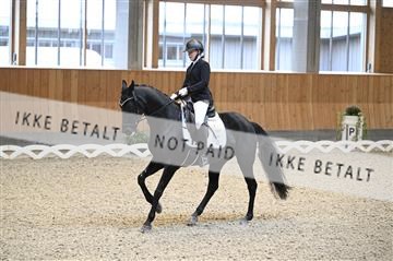 182176_kbb_01_Z092444.JPG