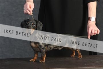 132082_le_ 01_IMG_0166.JPG