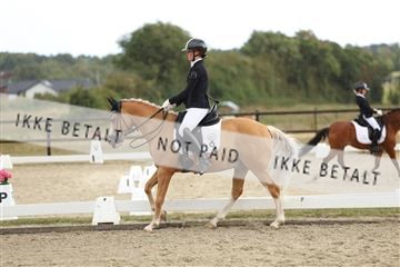 181894_mtp_03_R62_2542.JPG
