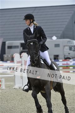 139644_abo_06__AB10238.JPG