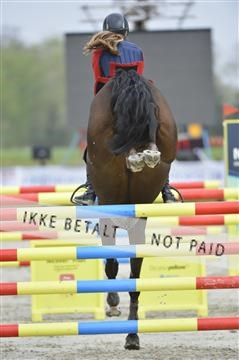139644_abo_04__AB15396.JPG