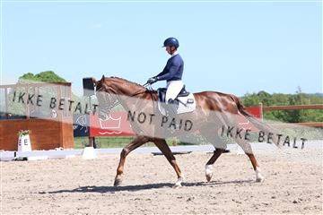181449_bc_01R62_5637.JPG