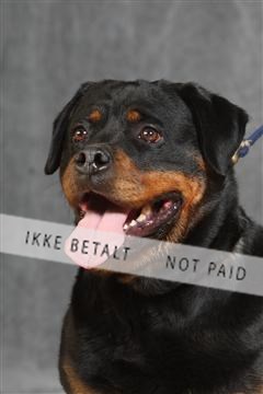 130054_le_ 03_0115.JPG