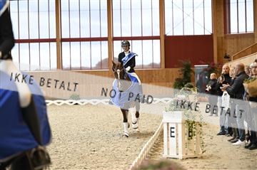 182176_kbb_01_Z093723.JPG