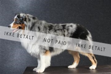 132082_le_ 01_IMG_0152.JPG