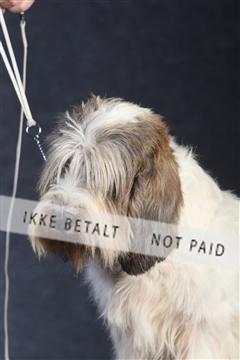 132082_le_ 01_IMG_0059.JPG