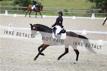 172030_mtp_01_3M5A1897.JPG