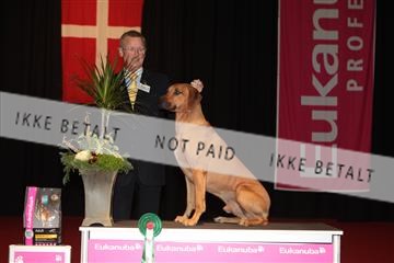 126827_tl_02_IMG_2989.JPG