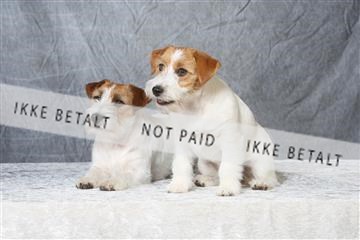 6068_ma_04_IMG_5069.JPG