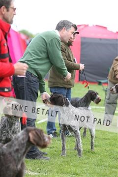 134871_ms_04_IMG_9975.JPG