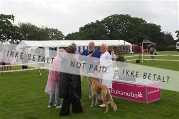 130370_le_02_IMG_8814.JPG