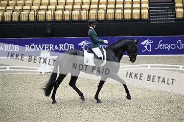 182194_kbb_01_Z095071.JPG