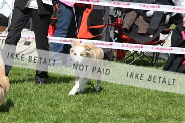 134871_ms_02_IMG_3397.JPG