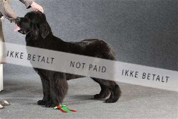 132082_le_ 01_IMG_1448.JPG