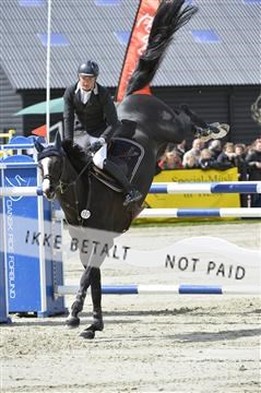 139644_abo_10__AB10971.JPG