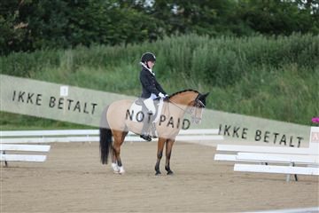 156196_nn_01_IMG_5875.JPG