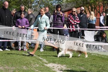 134871_ms_02_IMG_3836.JPG