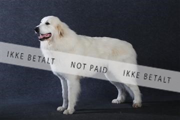 132082_le_ 01_IMG_0826.JPG