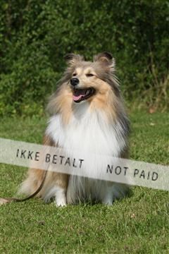 130370_se_02_IMG_6117.JPG
