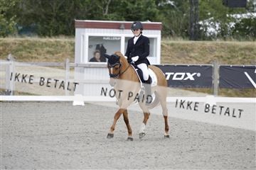 166078_rhj_01__J7R2208.JPG