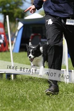 134871_ms_04_IMG_0117.JPG