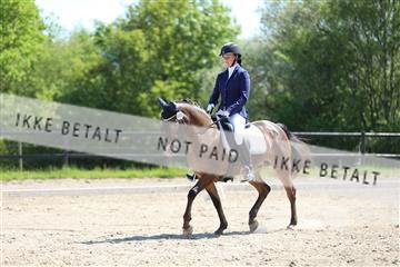 168732_mtp_01_3M5A7538.JPG