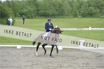 140040_abo_01__AB17147.JPG