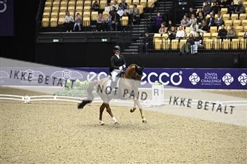 182194_kbb_02_Z098595.JPG
