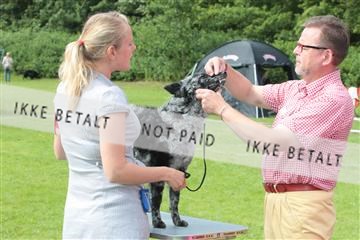 130370_tl_02_IMG_7741.JPG