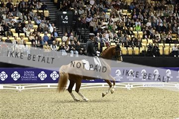 182194_kbb_03_Z092045.JPG