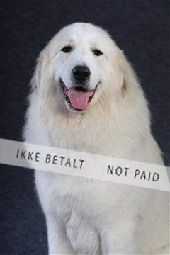 132082_le_ 01_IMG_0830.JPG