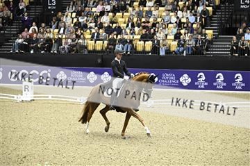 182194_kbb_02_Z098968.JPG